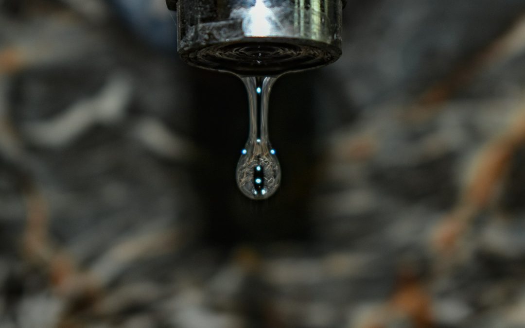 Bringing Water Closer: How Wezesha Jamii Is Tackling Water Scarcity in Agricultural Communities